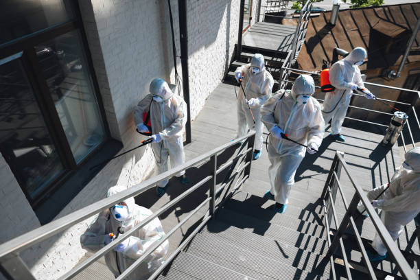 Best Real Estate Mold Inspection  in Des Moines, IA